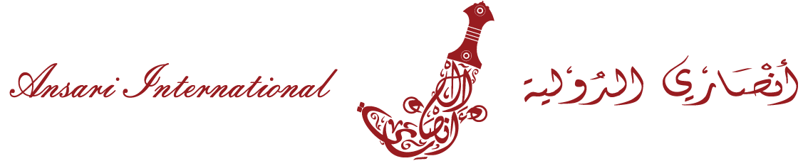 Ansari International Logo